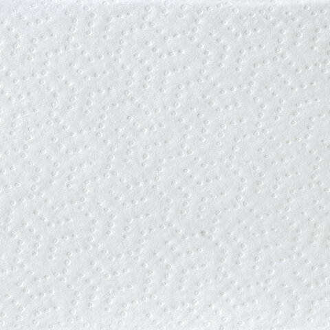 Полотенца бумажные для держателя 2-слойные Лайма H2 Advanced White, листовые Z-сложения, 20 пачек по 200 листов