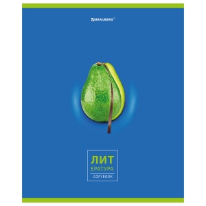 Тетрадь предметная для работ по литературе Brauberg "Avocado" (А5, 48л, линейка, мелованный картон) 20шт. (404281)