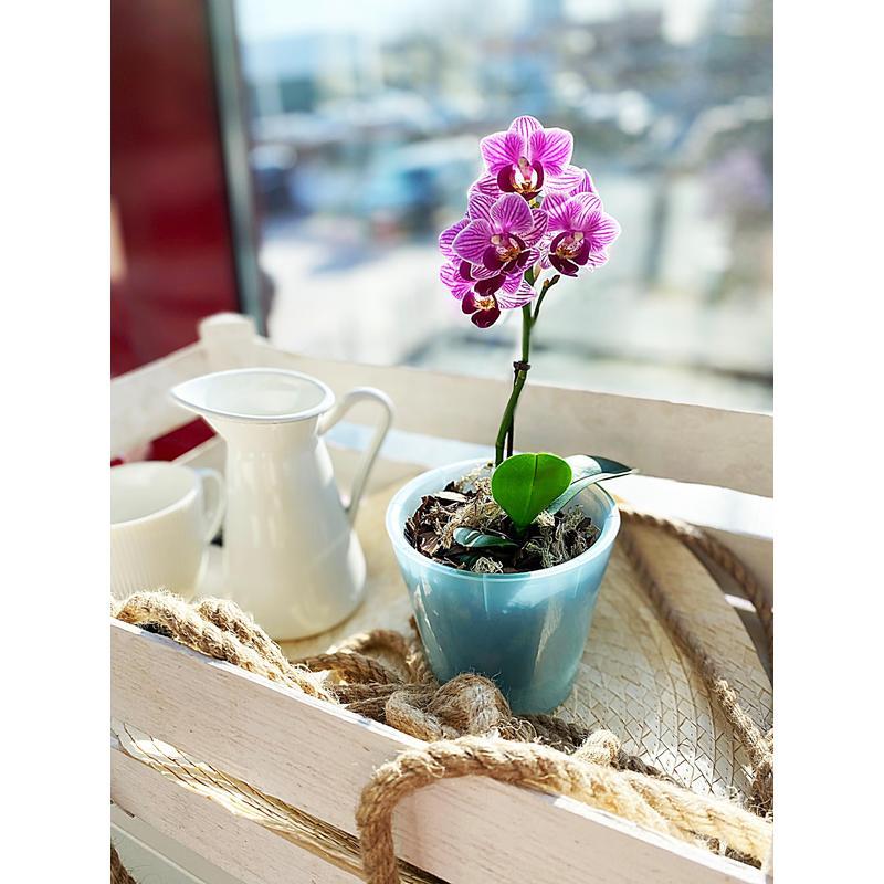 Горшок InGreen Фиджи Орхидея голубой перламутровый, 23х23x20.8см