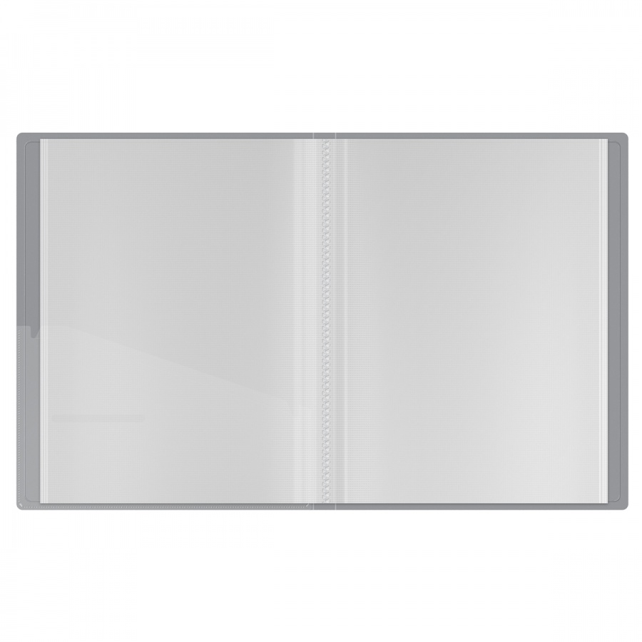 Папка файловая 60 вкладышей Berlingo Metallic (А4, пластик, 24мм, 1000мкм) серебряный металлик (DB4_60396)