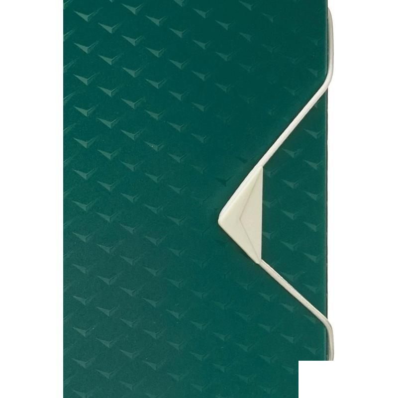 Папка-органайзер Esselte Colour'Ice (А4, 6 отделений) зеленая