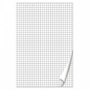 Блок бумаги для флипчарта Brauberg (675x980мм, 80г/м2, белый, клетка, 20 листов) (128645)