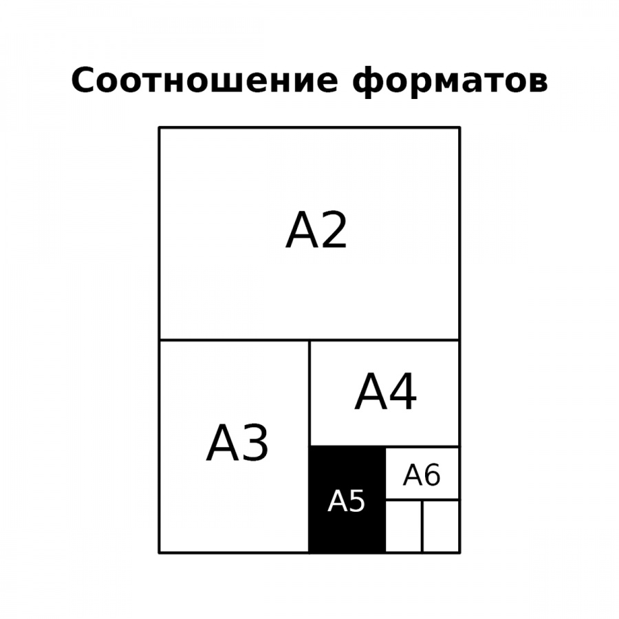 Записная книжка А5 BG &quot;Summer&quot;, 80 листов, матовая ламинация, блок в точку (ЗК5т80_лм_тгф 12129)