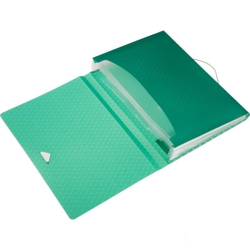Папка-органайзер Esselte Colour'Ice (А4, 6 отделений) зеленая