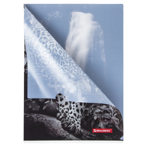 Папка-уголок Brauberg Leopard (А4, 150мкм, пластик) цветная печать (228040)
