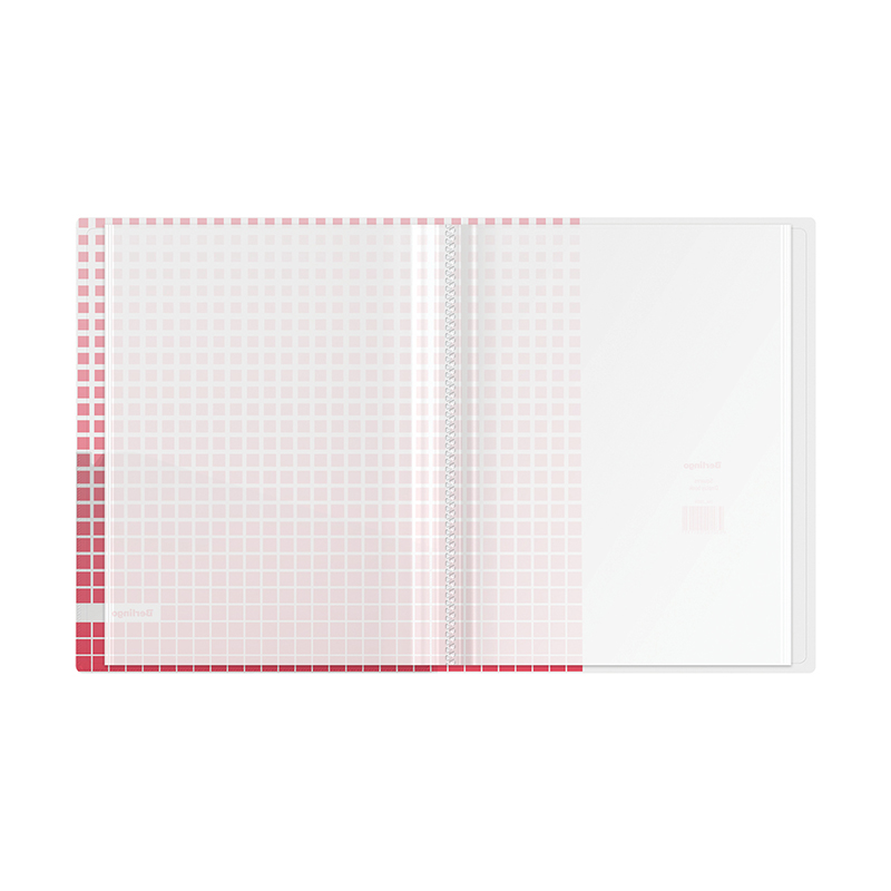Папка файловая 30 вкладышей Berlingo Squares (А4, пластик, 17мм, 600мкм) рисунок, внутр.карман (DB4_30054), 30шт.