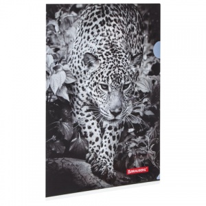 Папка-уголок Brauberg Leopard (А4, 150мкм, пластик) цветная печать (228040), 12шт.
