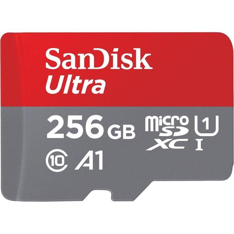 Карта памяти microSDXC SanDisk 256Gb, Class 10, 1шт. (SDSQUAR-256G-GN6MA)