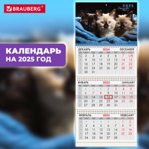 Календарь квартальный на 2025 г., 3 блока, 3 гребня, с бегунком, мелованная бумага, Brauberg, "Милые (116138)