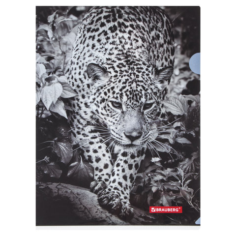 Папка-уголок Brauberg Leopard (А4, 150мкм, пластик) цветная печать (228040)