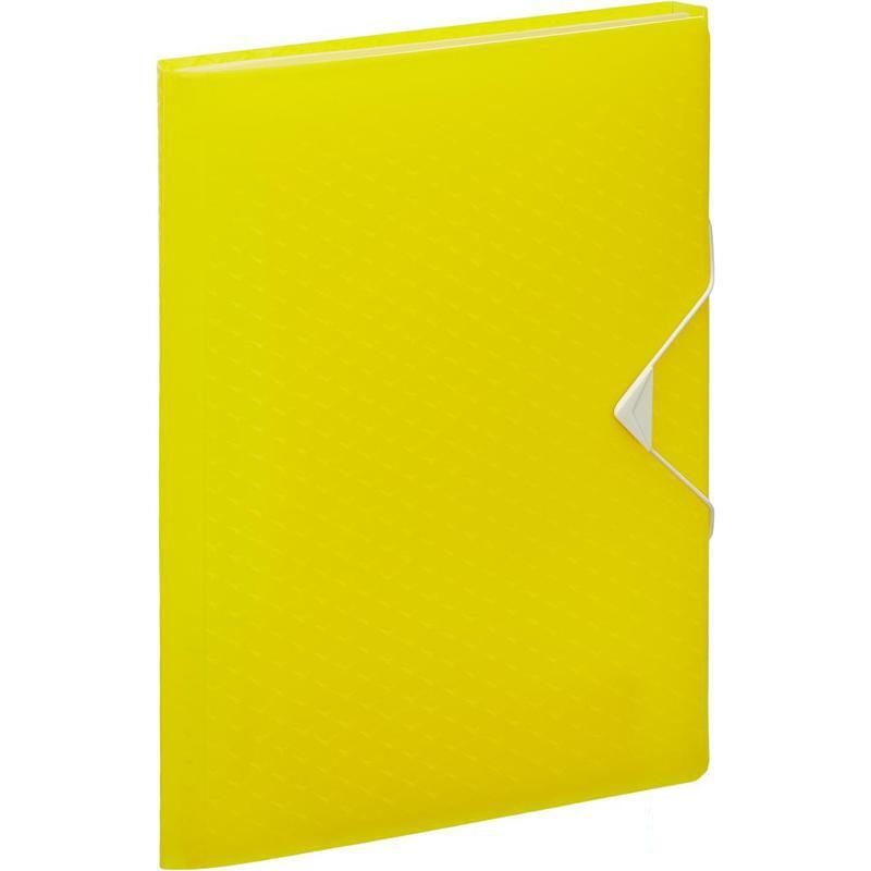 Папка-органайзер Esselte Colour'Ice (А4, 6 отделений) желтая