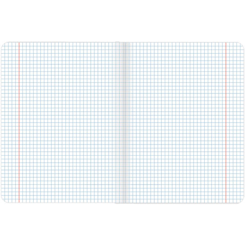 Тетрадь предметная для работ по информатике Brauberg &quot;Color&quot; (А5, 48л, клетка, справка) 10шт. (403984)