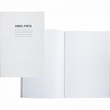 Бухгалтерская книга учета (А4, 48л, клетка, скрепка) обложка картон